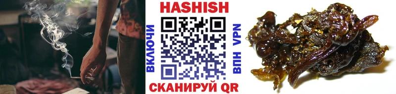 Купить закладки  Ефремов  ГАШ индика сатива 