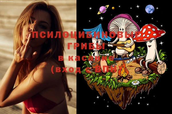винт Касимов