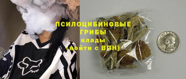 винт Касимов