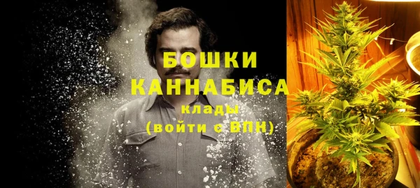 винт Касимов