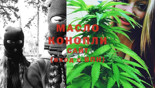 мдпв Карпинск