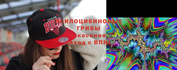 винт Касимов