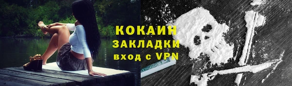 мдпв Карпинск