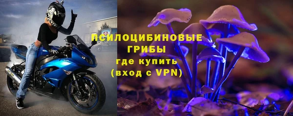 винт Касимов