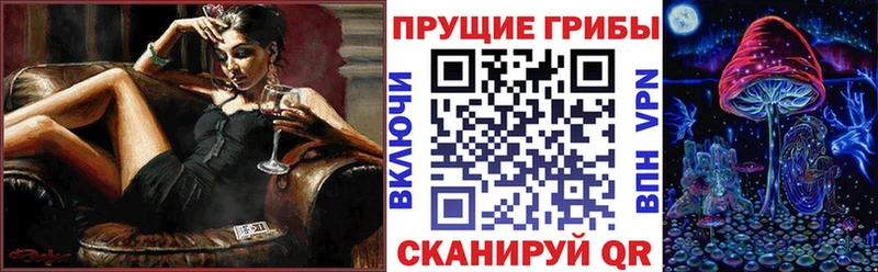 Псилоцибиновые грибы MAGIC MUSHROOMS Купить закладки Ефремов